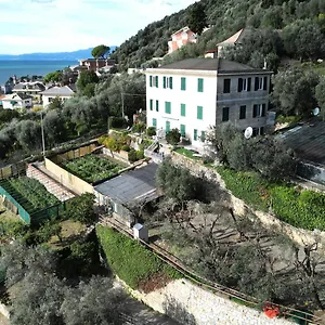 Cav Gli Ulivi Di Bogliasco